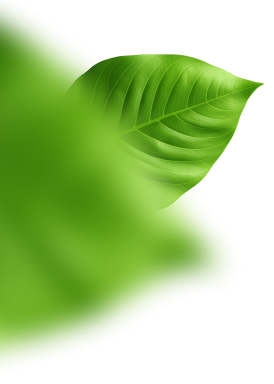 Mask group - left.png